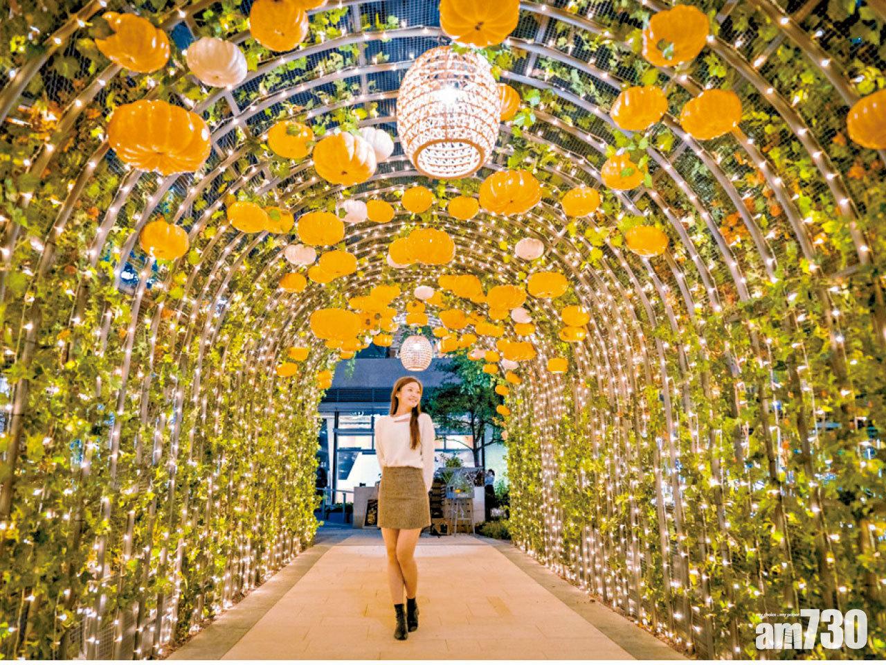 全港聖誕限定打卡合集 YOHO MALL戶外田園農莊 南瓜光影隧道驚喜登場