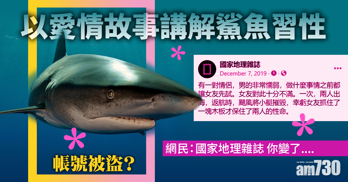 【網上熱話】愛情故事帶出鯊魚習性　網友：真的是《國家地理》雜誌？