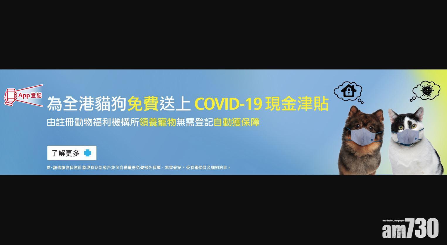 藍十字送新冠肺炎保障予寵物貓狗