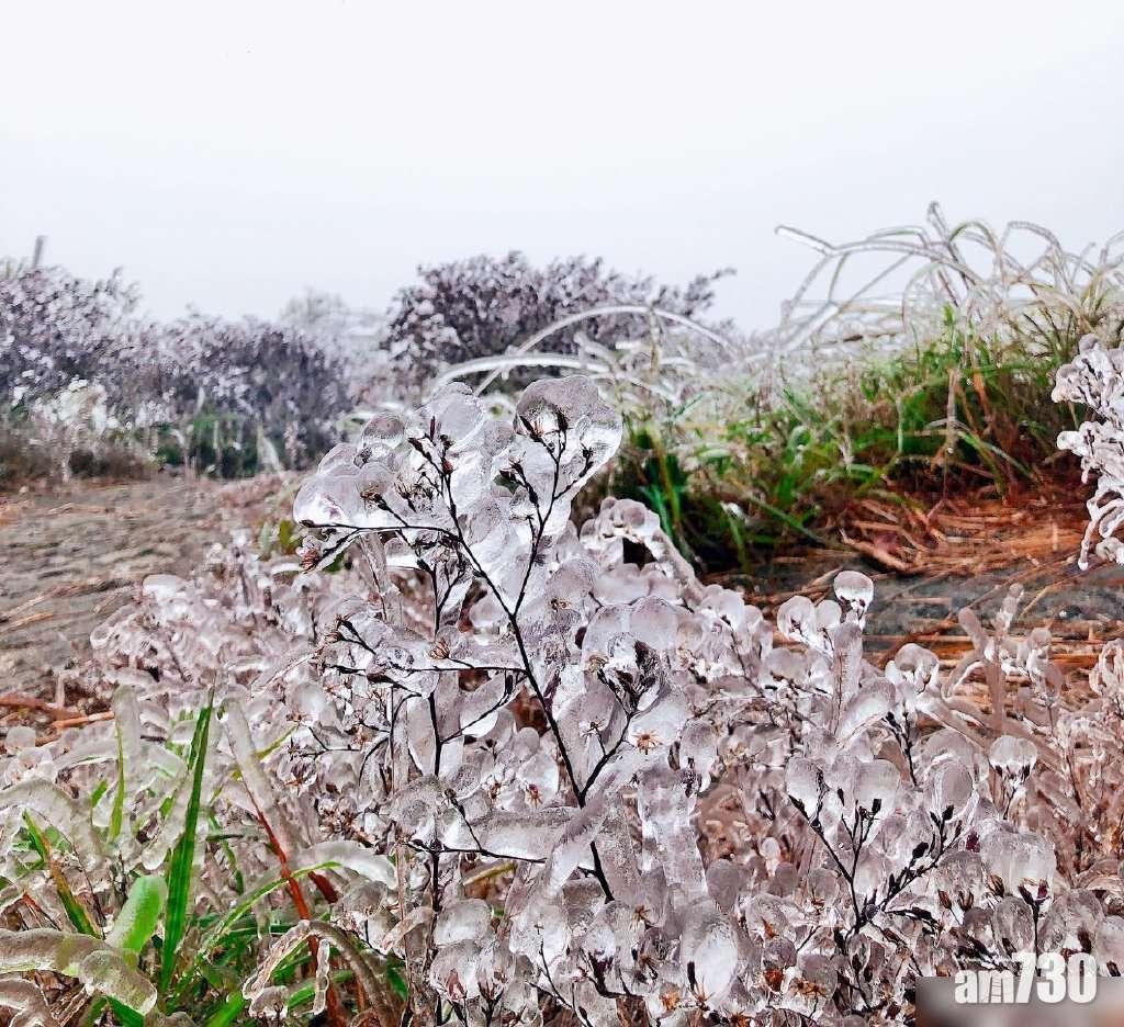 【天氣寒冷】粵北山區零下2.2度 路面+植物結冰