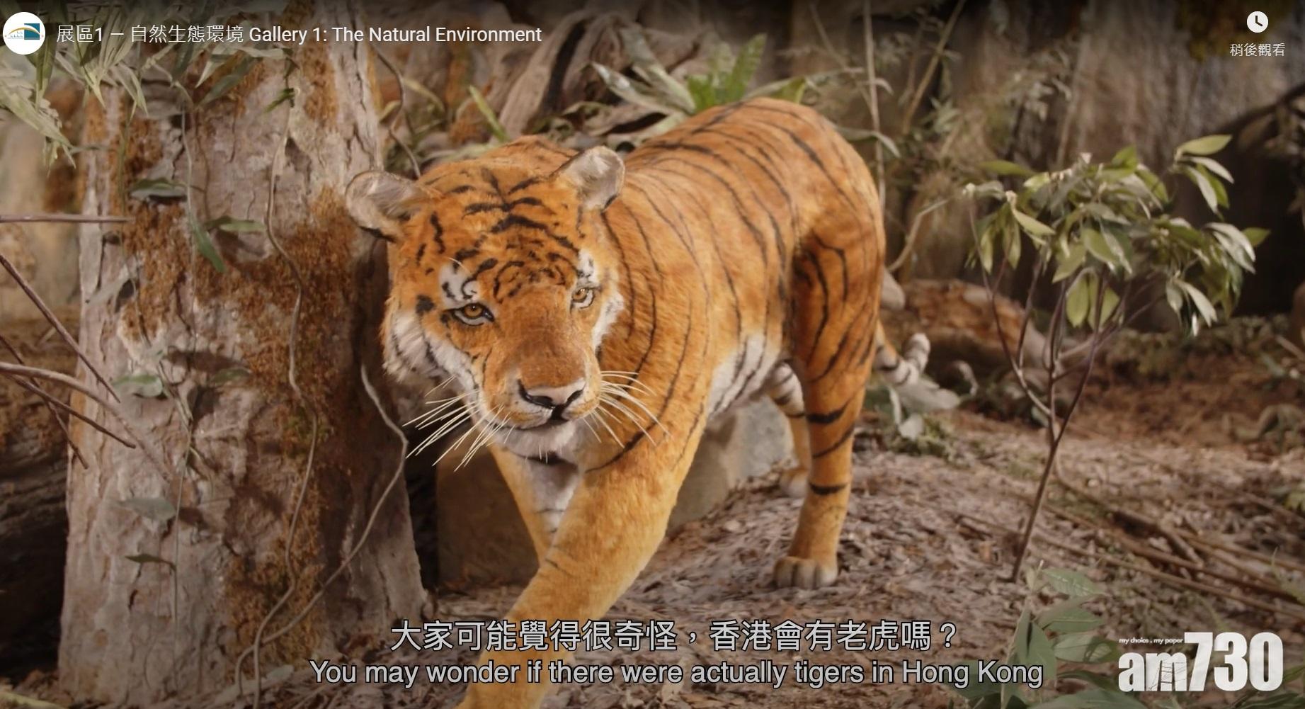 【長知識】香港歷史博物館設平台「e度遊」 觀眾發掘展館展覽背後小故事