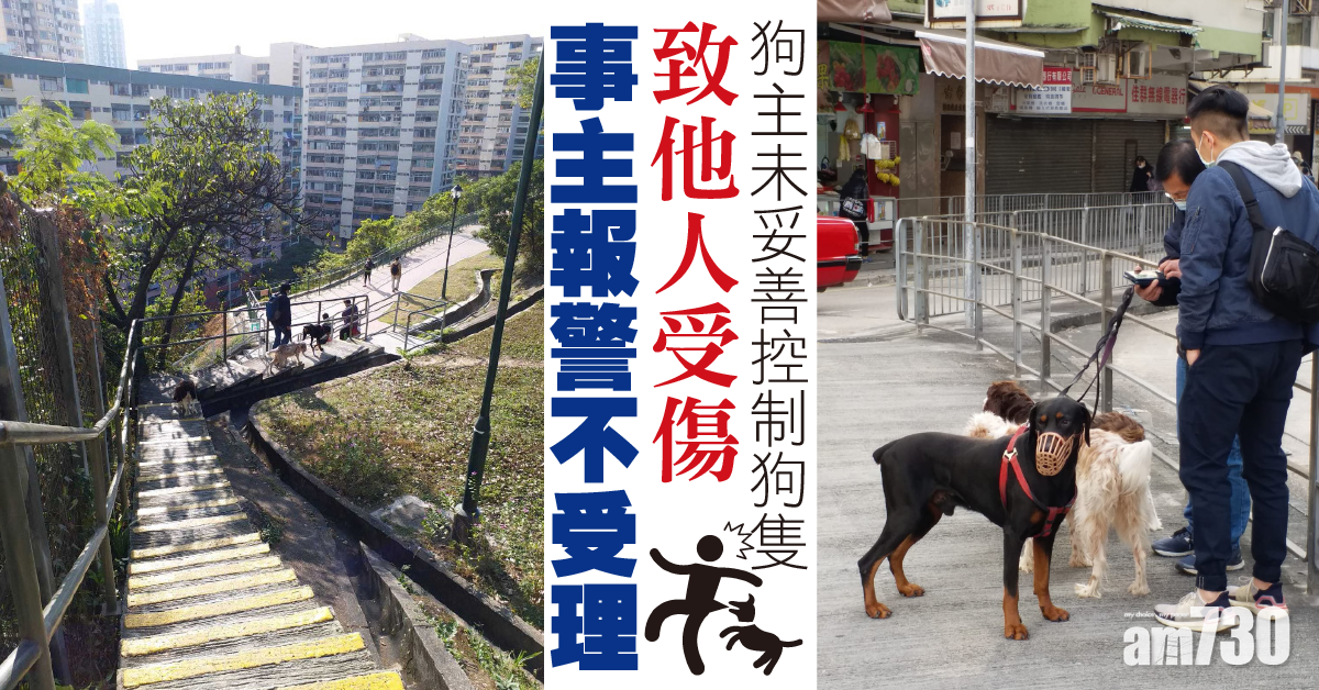 何文田有狗主未妥善控制狗隻致他人受傷 事主報警不受理惟提醒街坊提防