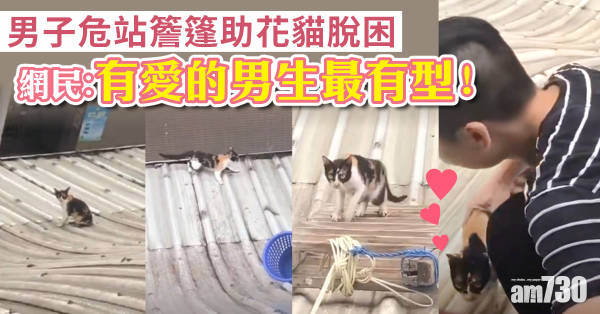 【網上熱話】救貓男危站簷篷助花貓脫困  網民︰有愛的男生最帥