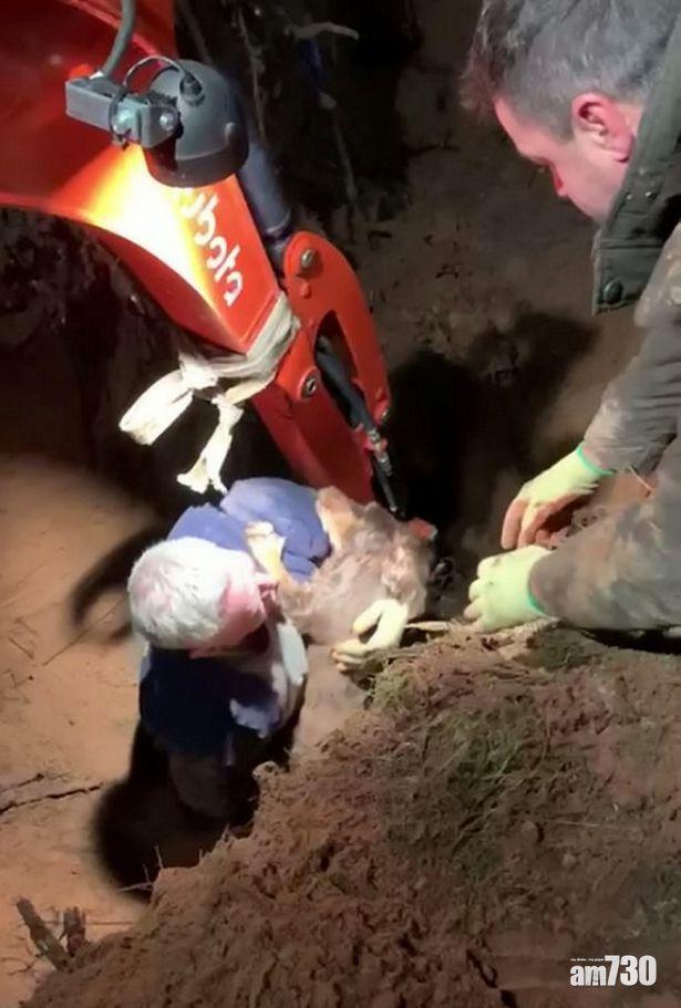 人間有情 | 失聰狗狗跌落兔洞困30小時 70熱心網友組隊徹夜搜救