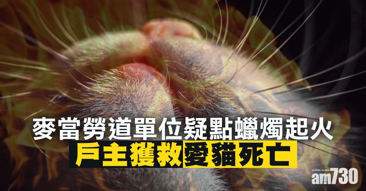 麥當勞道單位疑點蠟燭起火逾30人疏散 戶主獲救愛貓死亡