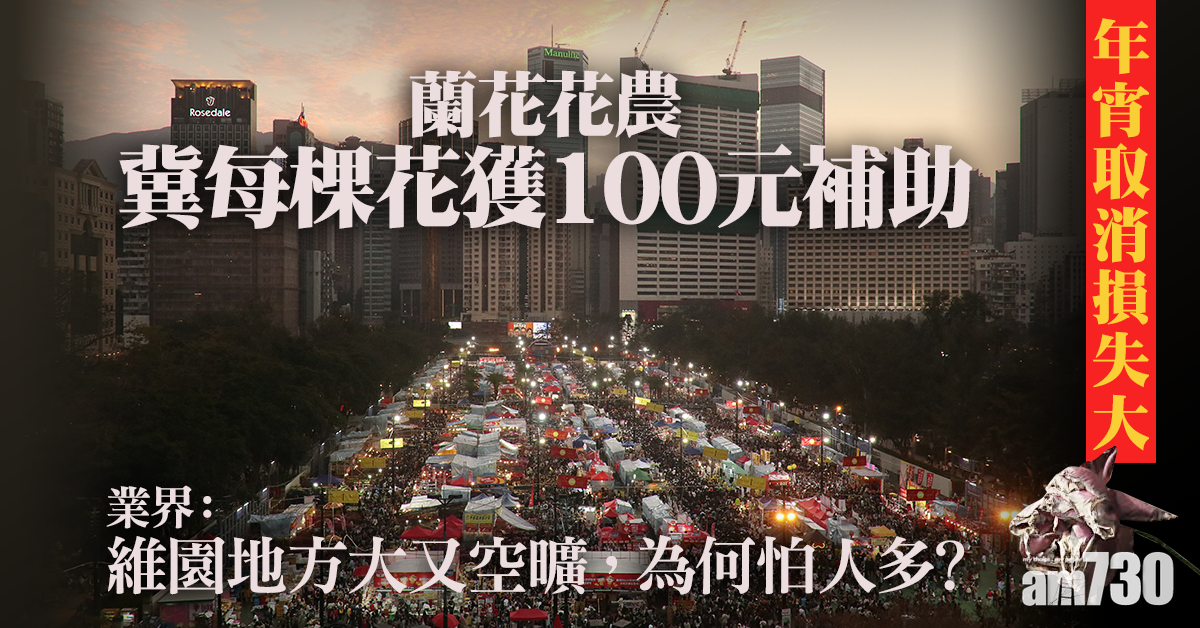 【新冠肺炎】年宵取消損失大　蘭花花農冀每棵花獲100元補助