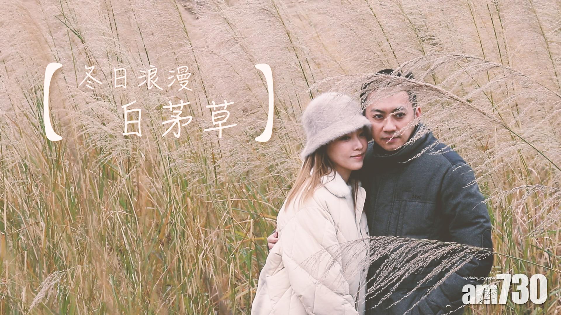 【周末打卡好去處】冬日浪漫。白茅草