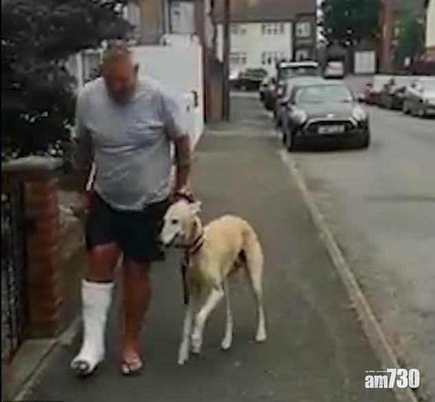 【窩心】狗狗行路跛跛下花3000元看獸醫  被揭出於同情模仿斷腳主人 (有片)