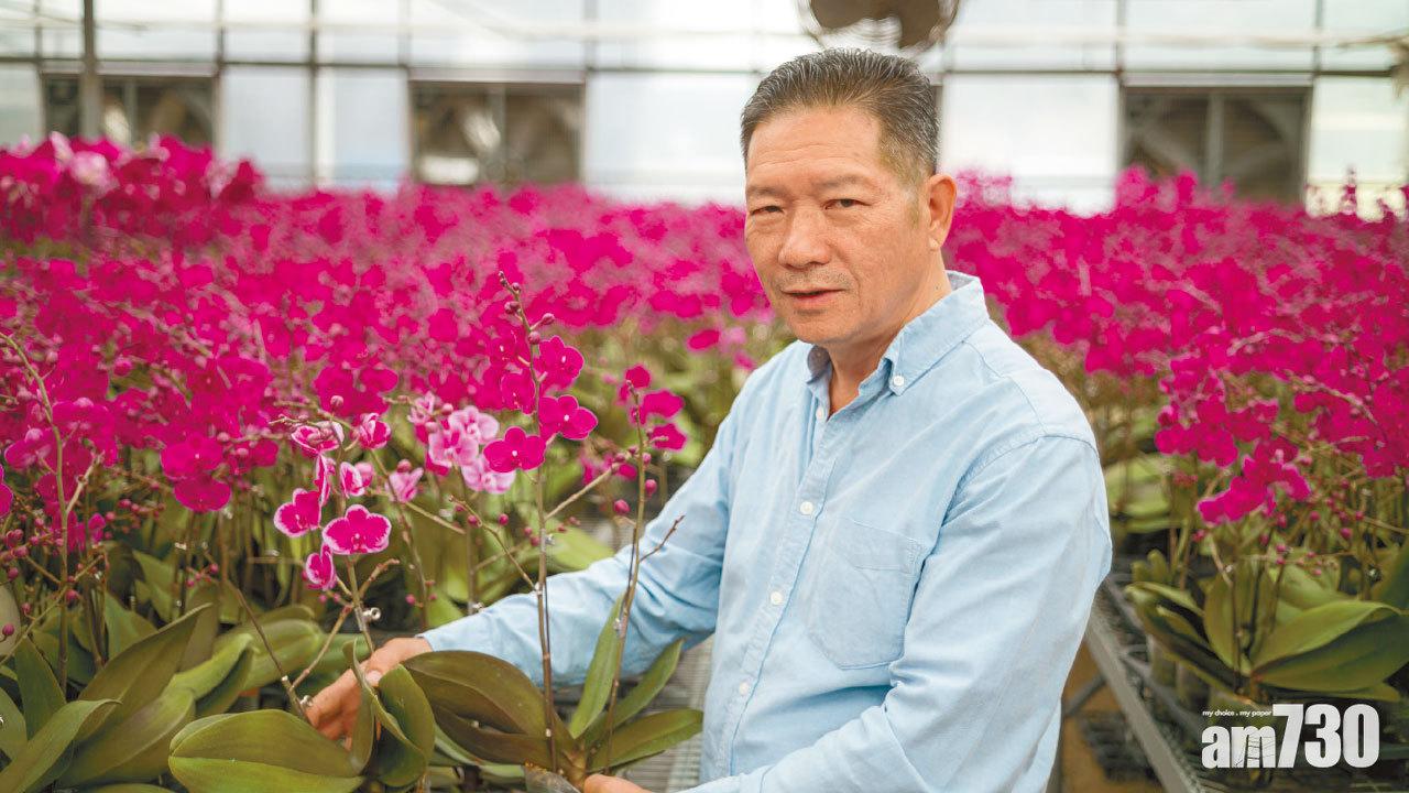 花市翻生變年花銷售點 當局促快買快賣 清場安排惹不滿