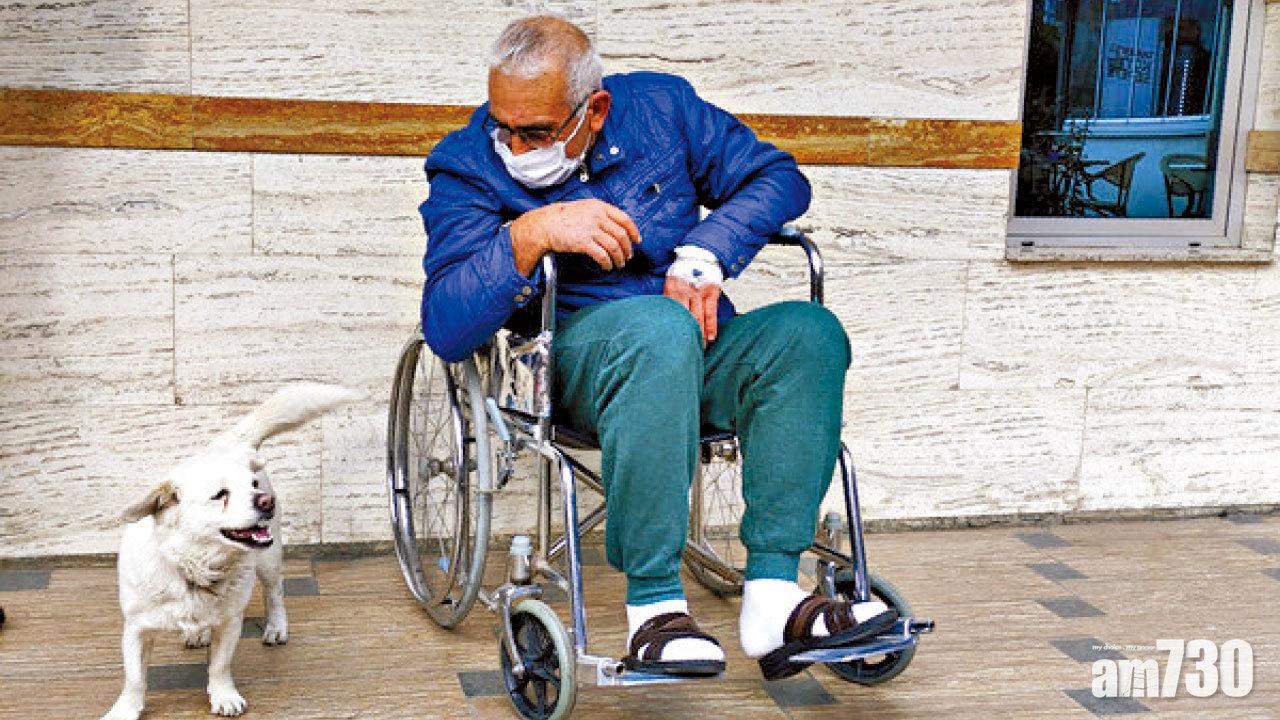 忠心狗守醫院6日等主人