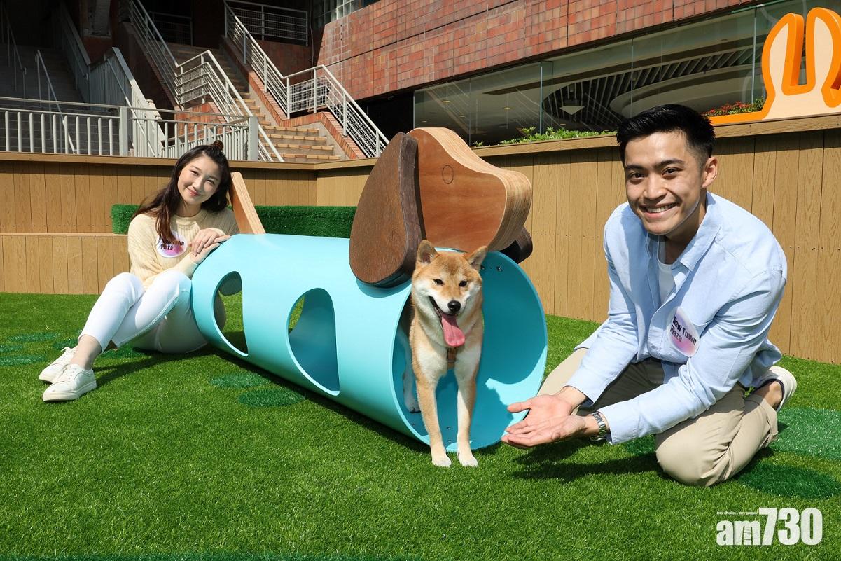 新城市廣場新增寵物樂園 設歷奇及野餐區打卡放電