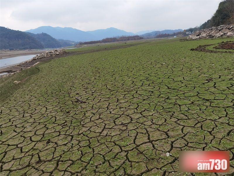 南方乾旱｜全國713萬畝耕地受旱 浙粵降雨量較常年少六成