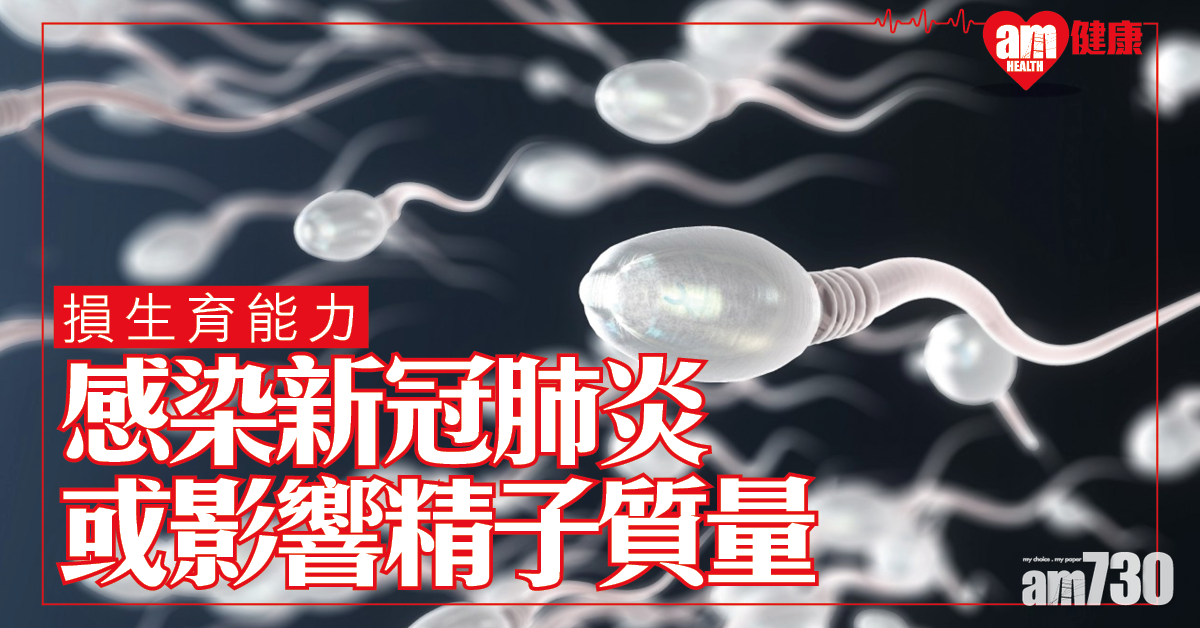 男士惡耗│研究：感染新冠肺炎或損男性生育能力？