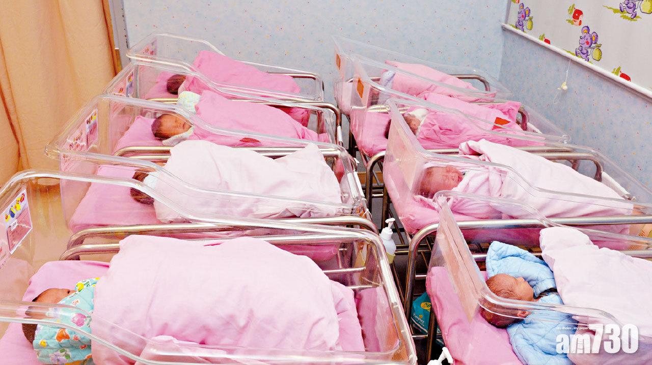 老化持續 港死亡數字首超出生人數  羅致光︰今年生育率或更低