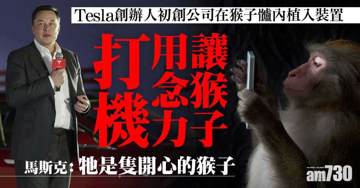 馬斯克初創公司讓猴子念力打機 稱牠是隻開心的猴子