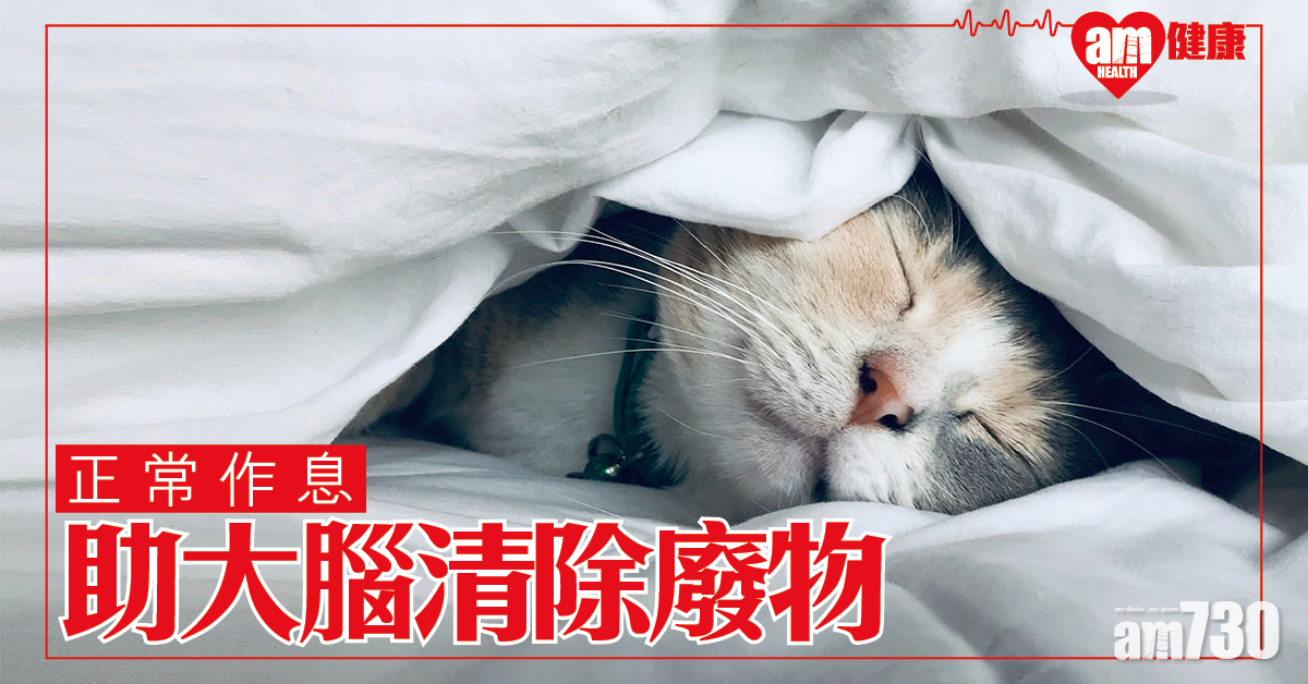 日作夜息│研究：正常作息助大腦清除廢物