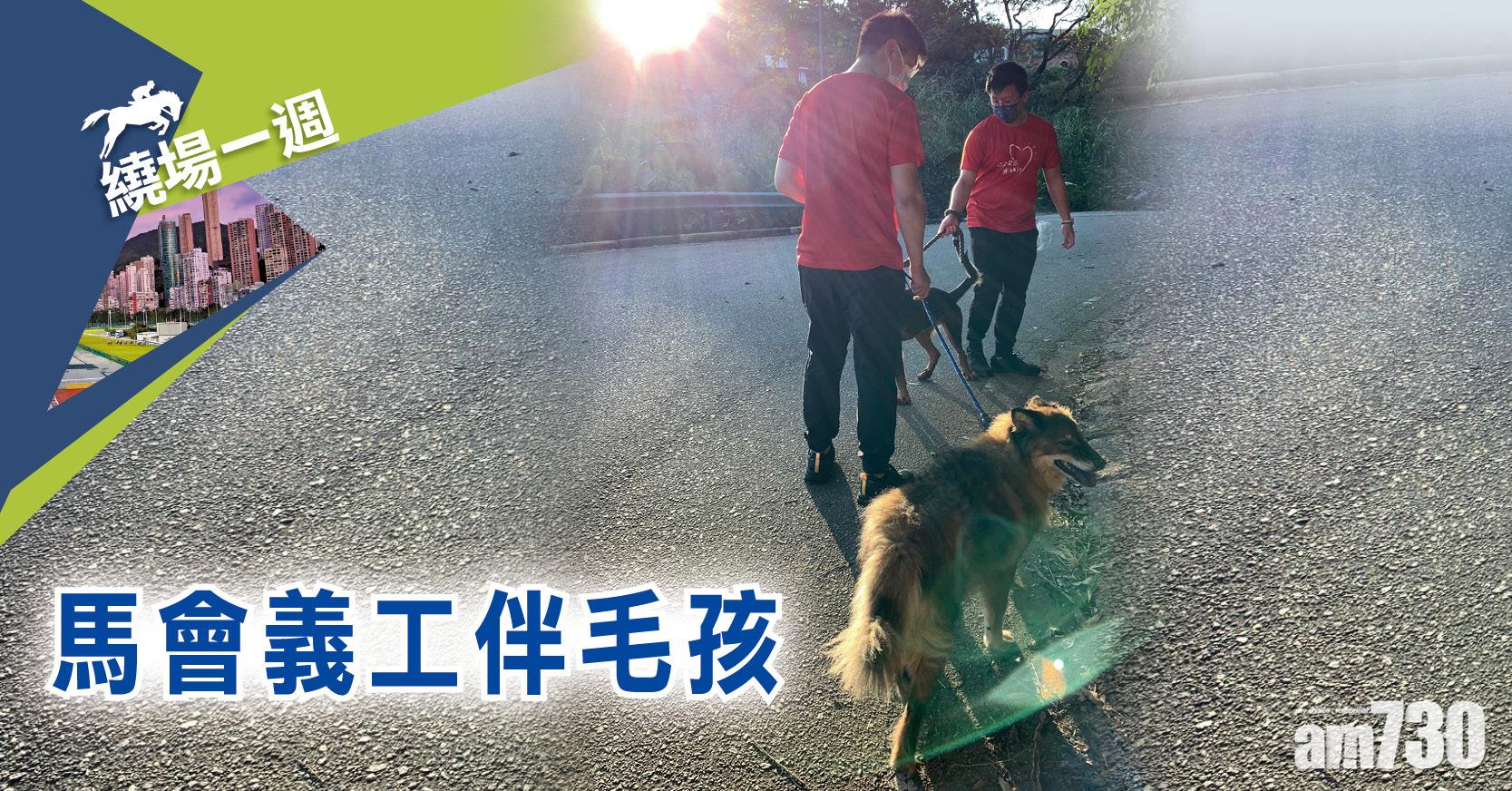 【繞場一週】馬會義工伴毛孩