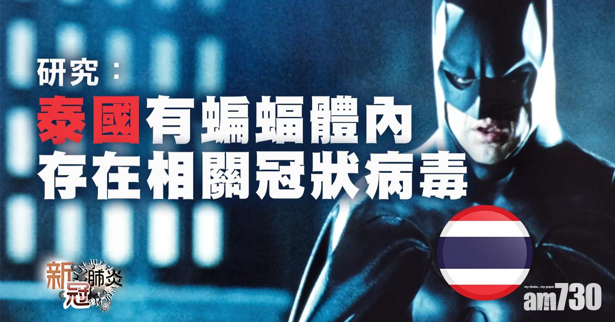 新冠肺炎｜研究：泰國有蝙蝠體內存在相關冠狀病毒