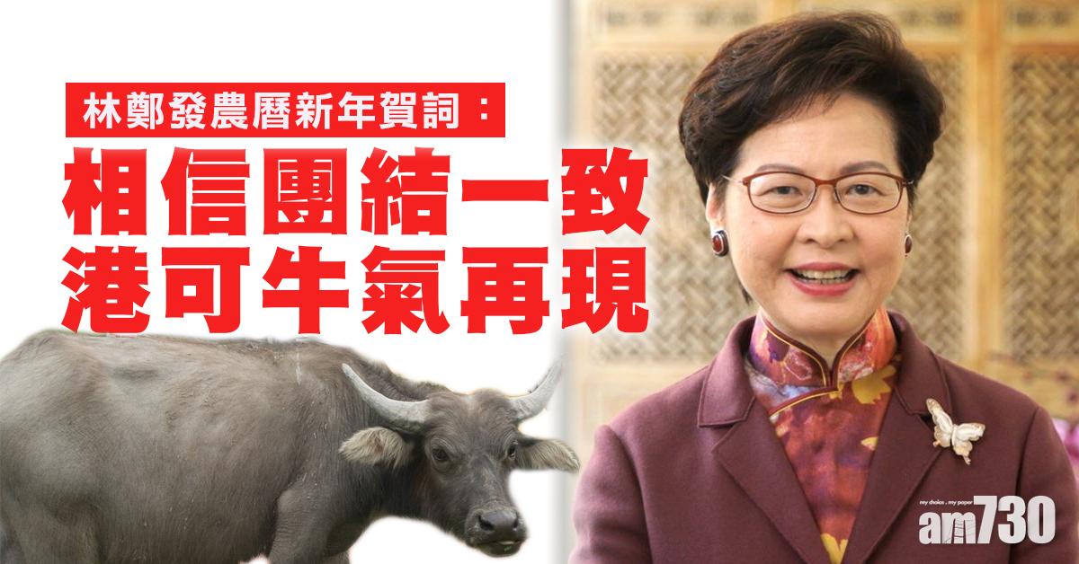 林鄭月娥發農曆新年賀詞：相信團結一致可牛氣再現