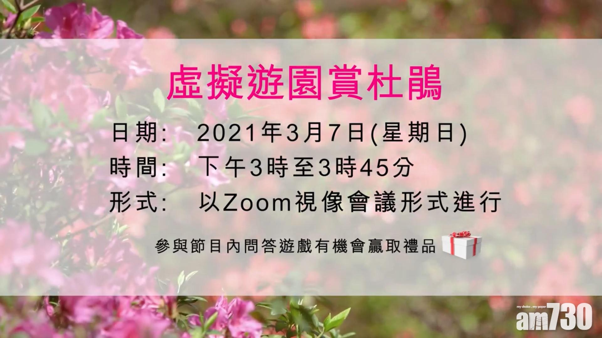 康文署3月首個周日辦Zoom虛擬賞杜鵑團　名額500個