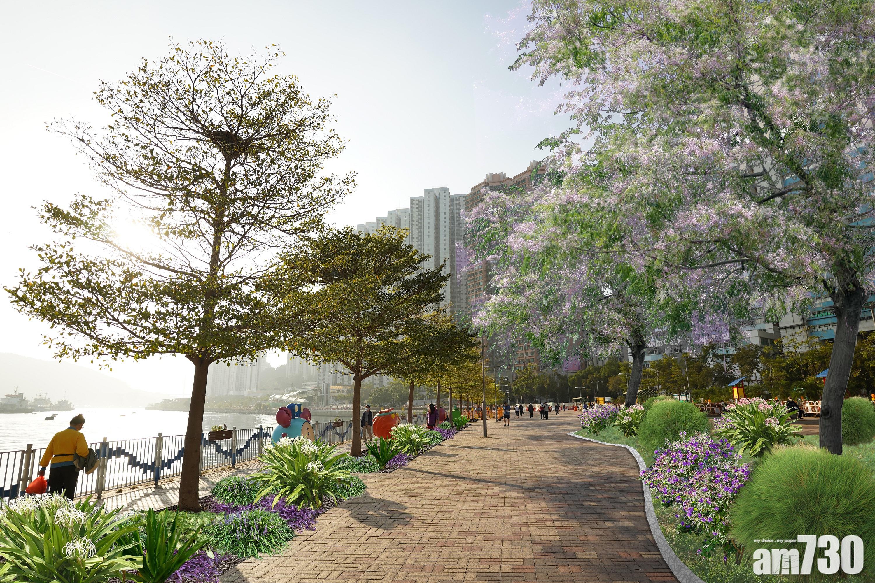 詹志勇荃灣區議會倡綠化區內617地點