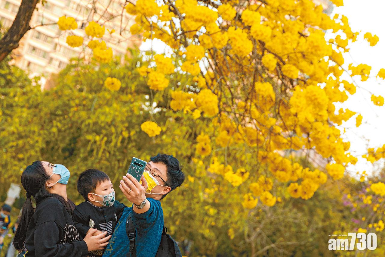 【圖遊】公園賞花