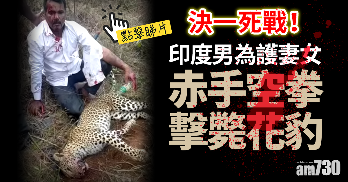 有片：以死相搏｜印度男為護妻女 赤手空拳擊斃花豹