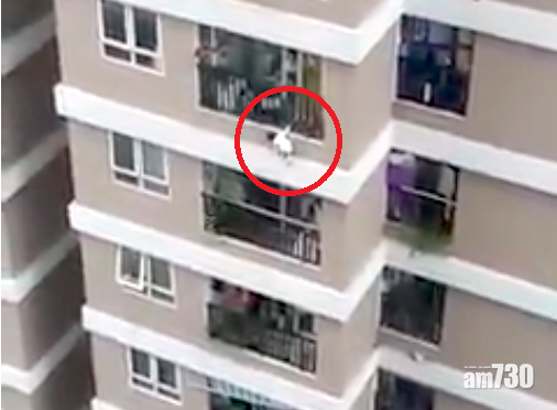 驚險｜2歲女童從12樓露台墮下 送貨司機急忙攀上簷篷接住 (有片)