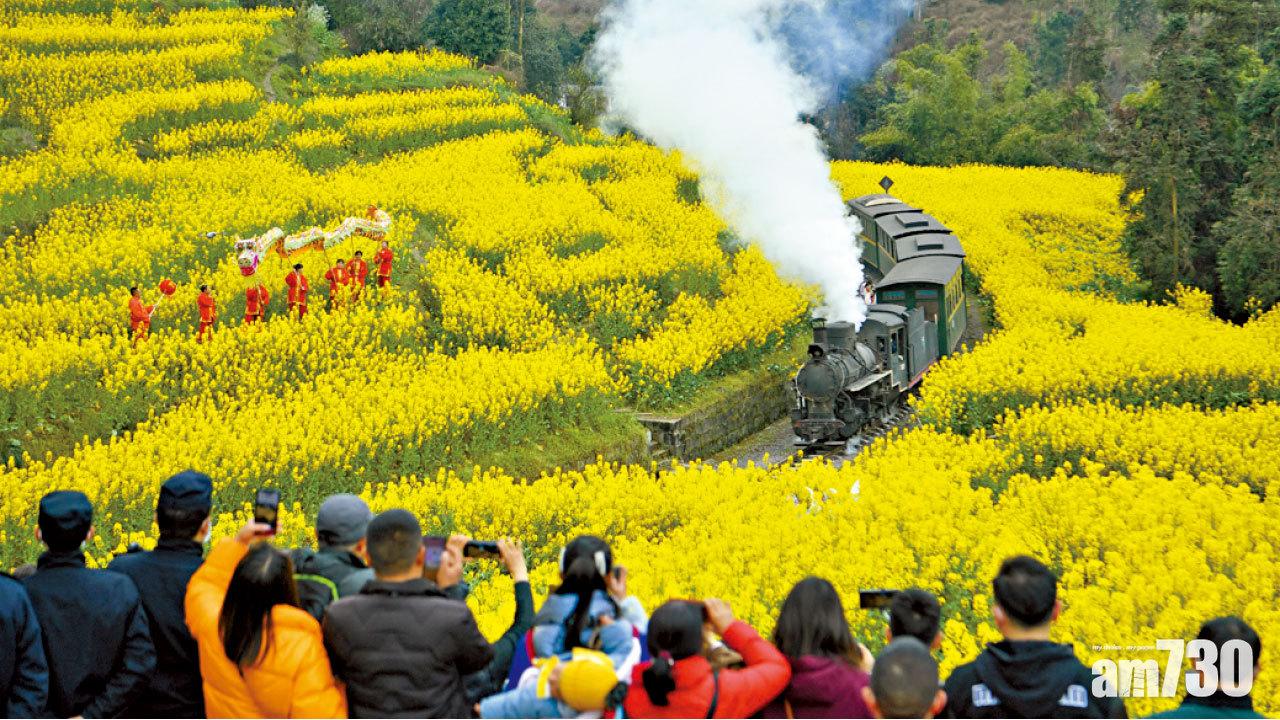 市場復甦 預訂量多前年1倍 內地疫後賞花經濟蓬勃