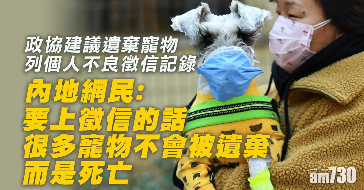 全國兩會｜政協建議遺棄寵物列個人不良信用記錄