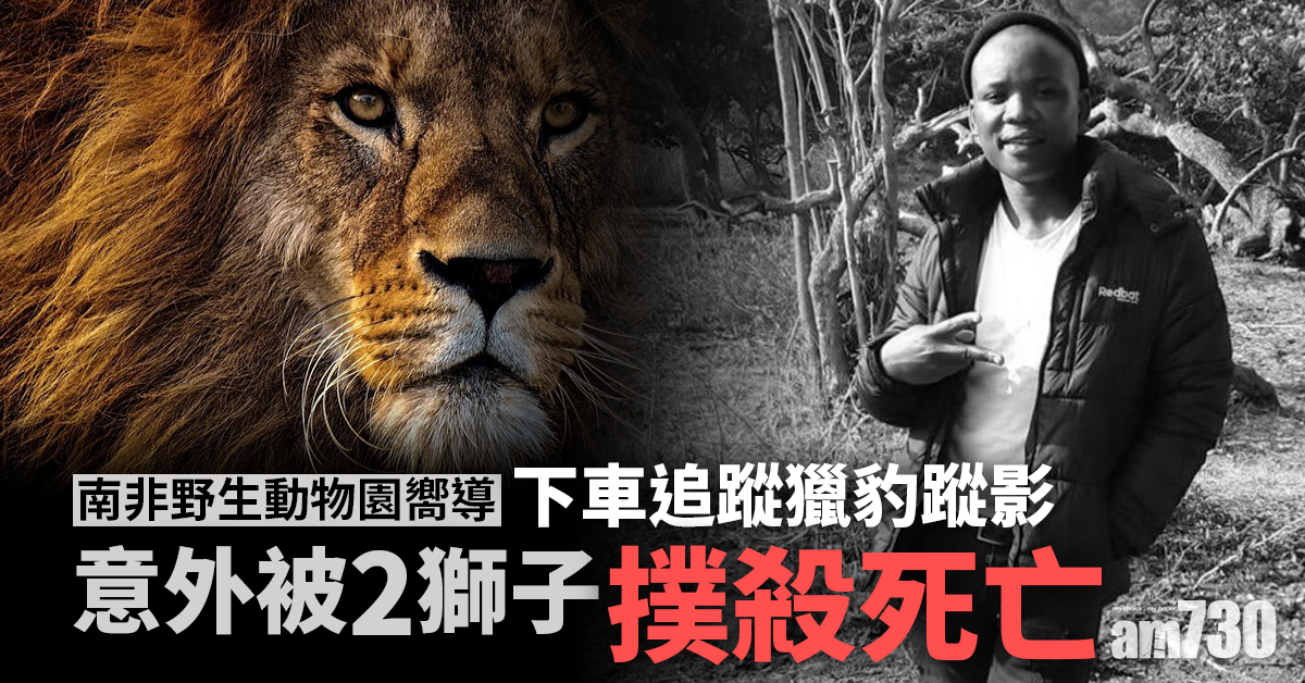 無常慘劇｜下車追蹤獵豹蹤影 南非野生動物園嚮導隨即被兩獅子撲殺