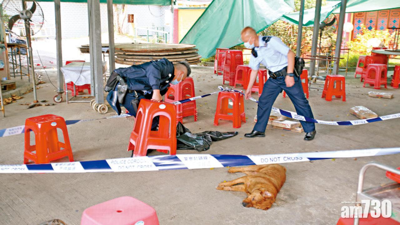  雲泉仙館4唐狗喪命 疑遭毒殺