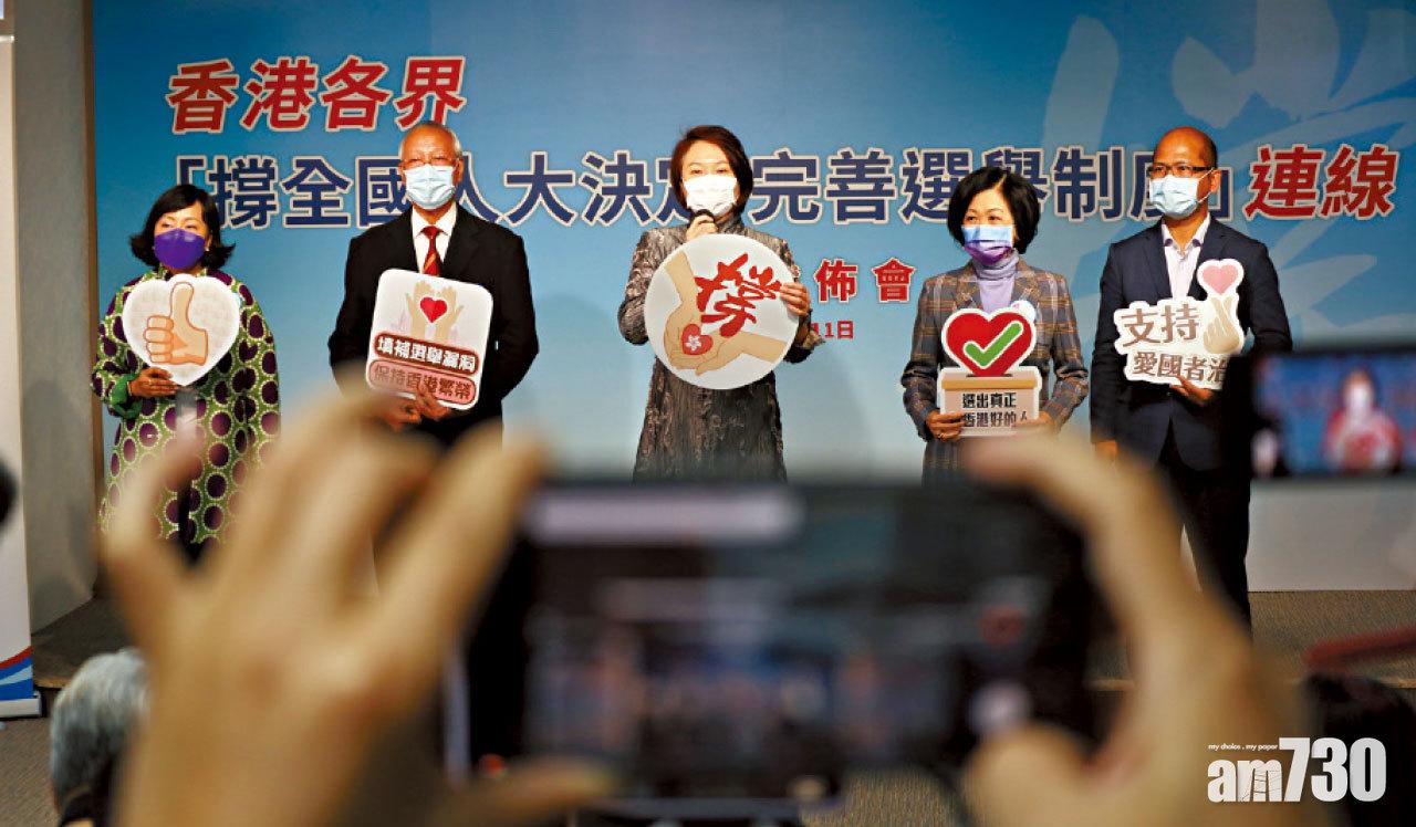 親建制組織一致支持人大決議 學者憂泛民不能入閘淪壓力團體