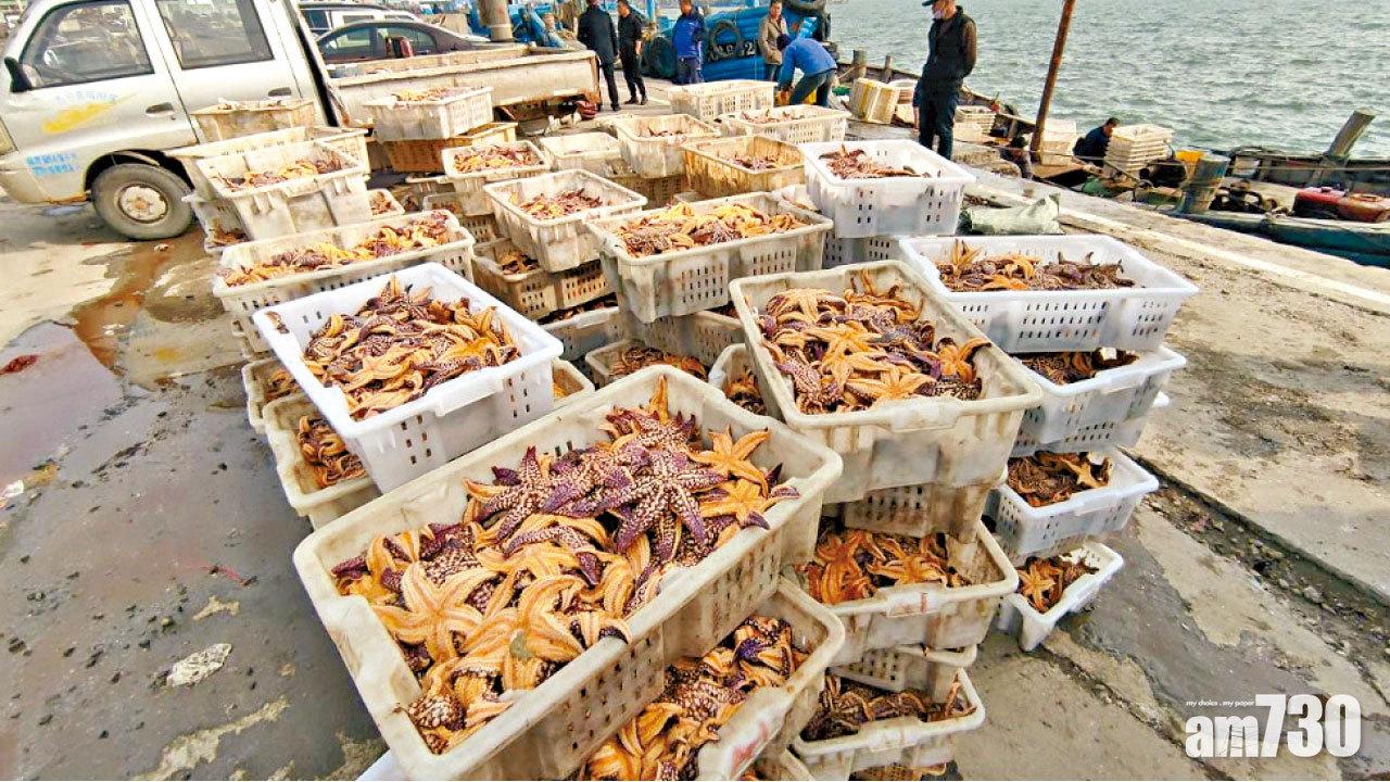 圖片新聞 : 氾濫