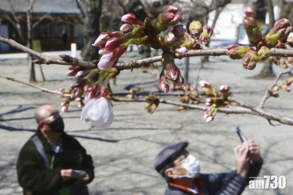 新冠肺炎｜東京新症持續增加 日本首都圈下周日恐難解除緊急狀態 