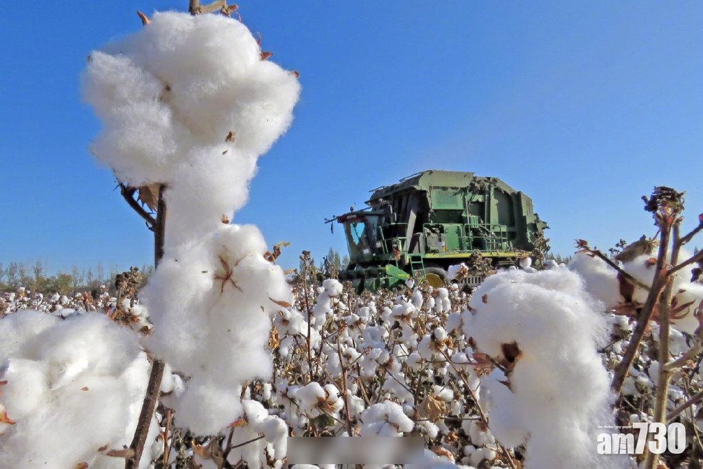 H&M抵制新疆棉花 官媒狂轟「吃中國飯 砸中國鍋」