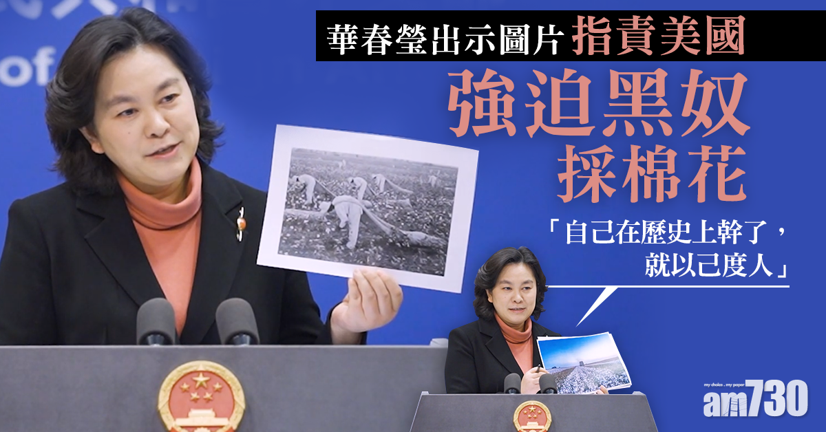 新疆棉｜華春瑩斥西方以己度人 歷史上美國強迫黑奴採棉花 