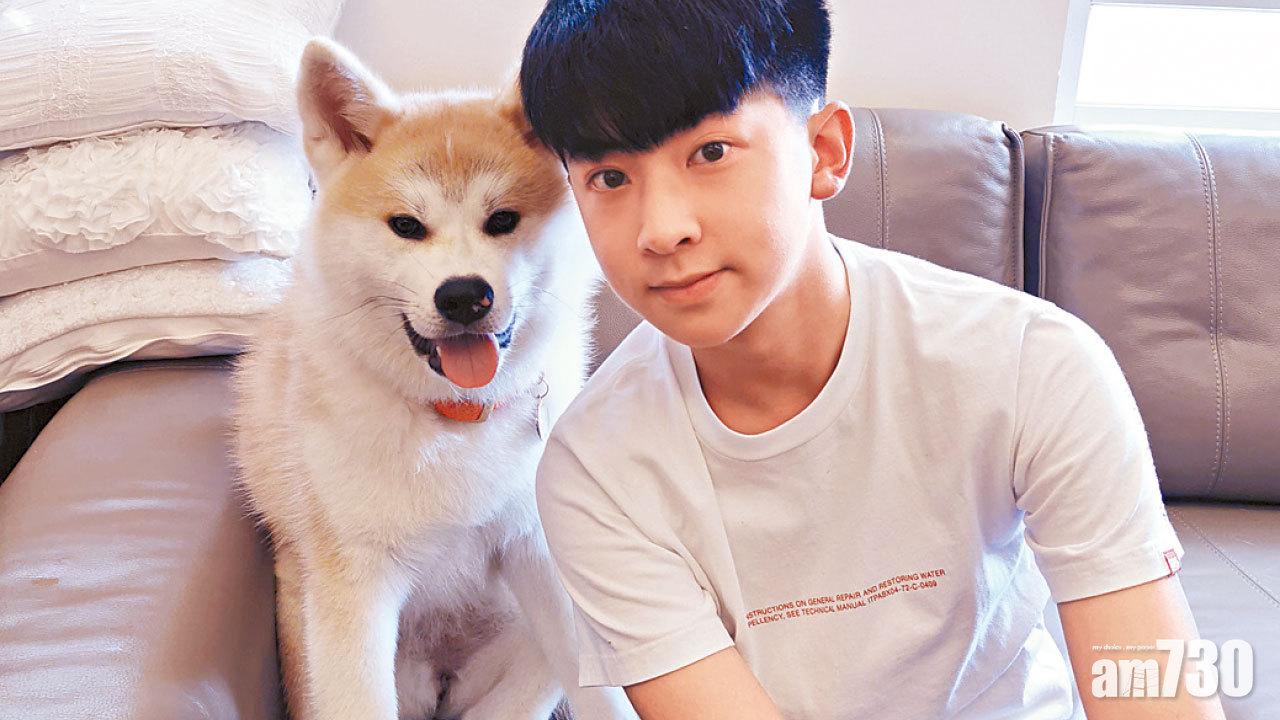 劇集《大步走》童星楊凱博的秋田犬