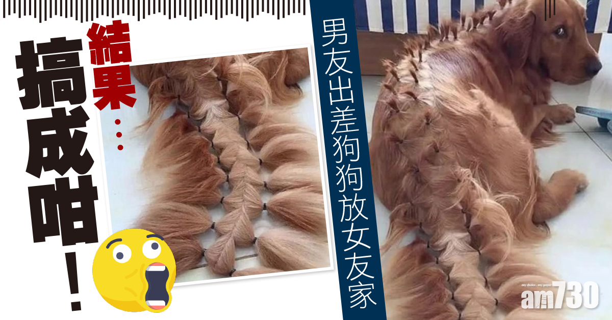 網上熱話｜男人出差回來金毛通身紥辮仔  網民︰思念令人失控