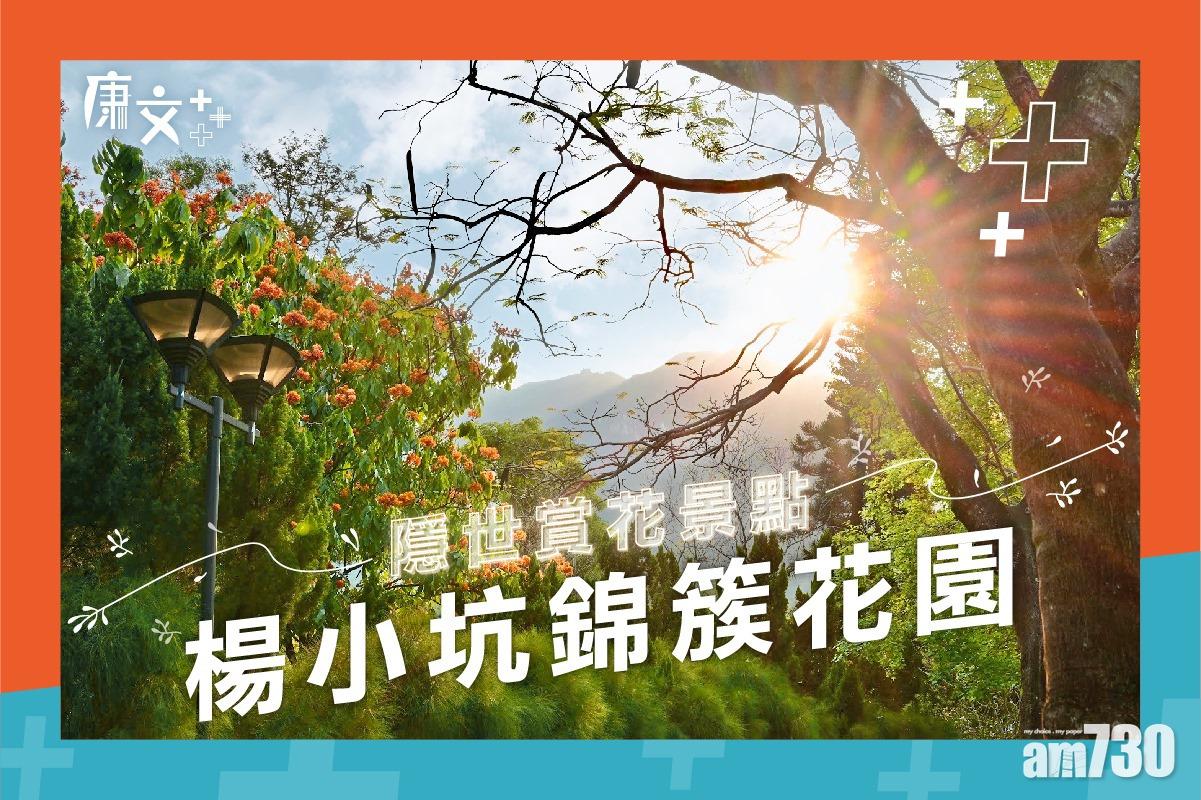 屯門隱世打卡花園有咩睇？ 康文署話你知