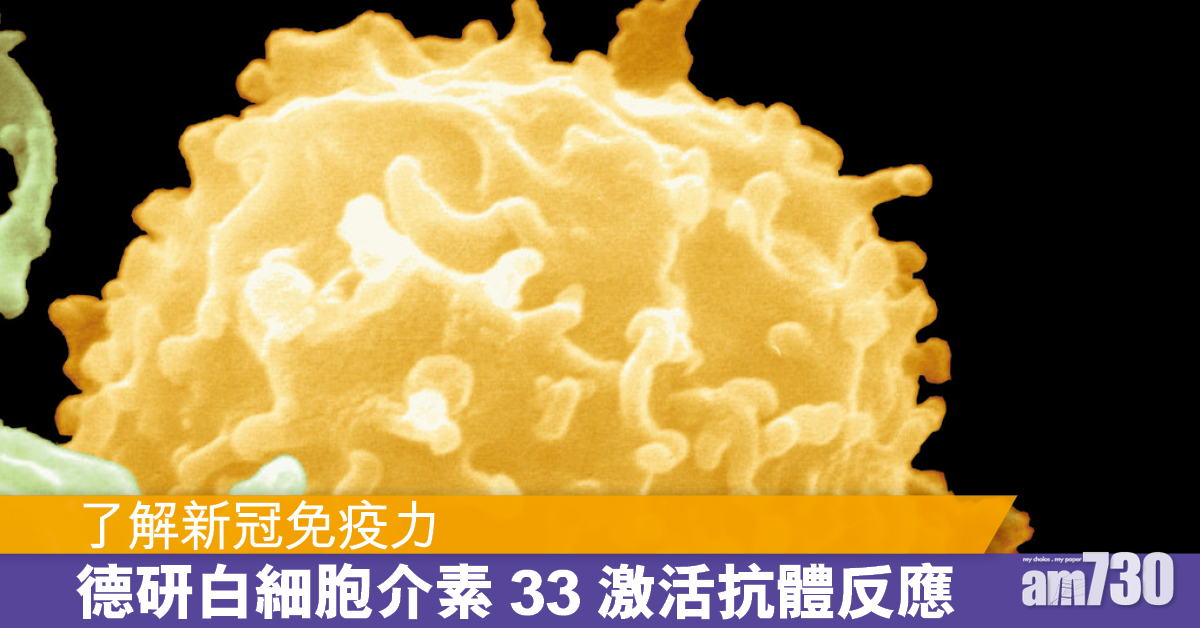 新冠肺炎丨德研指白細胞介素33激活抗體反應 助二次感染後免疫