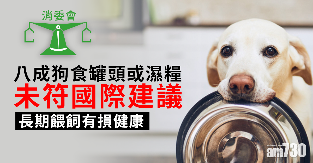 消委會｜八成狗食罐頭或濕糧未符國際建議