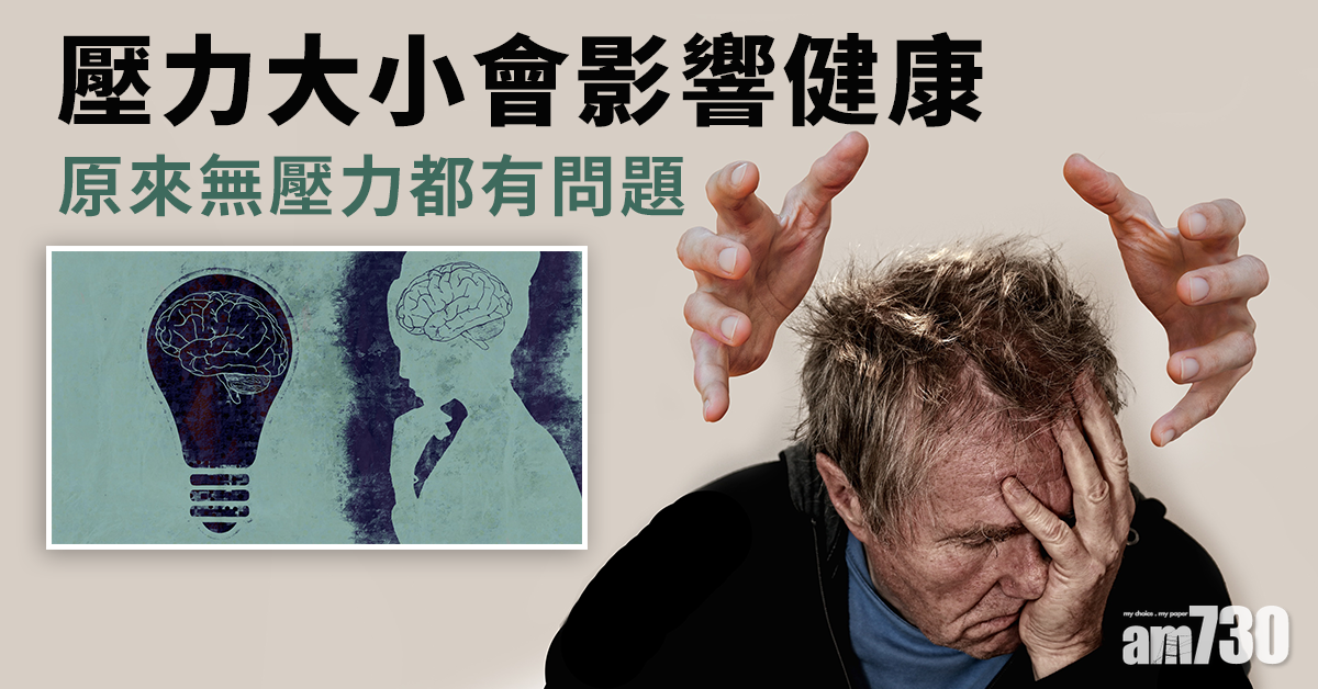 有又煩無亦煩 研究：壓力不足或令認知功能退化