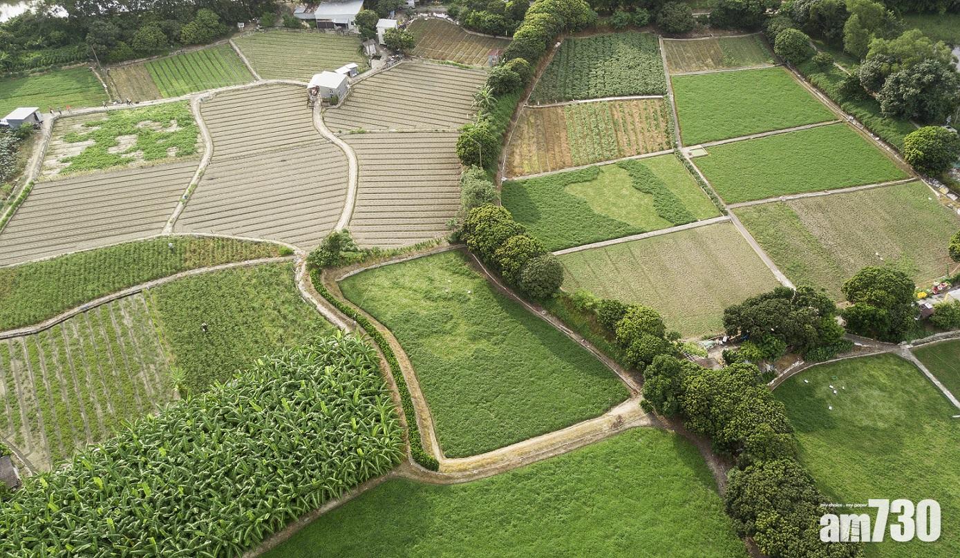 復耕計劃去年配對4公頃農地　農友平均輪候4年