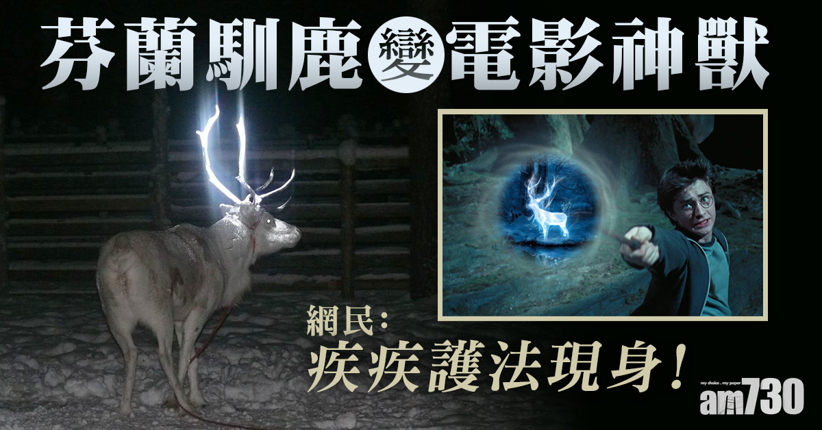 網上熱話｜芬蘭馴鹿變電影神獸　網民：疾疾護法現身！