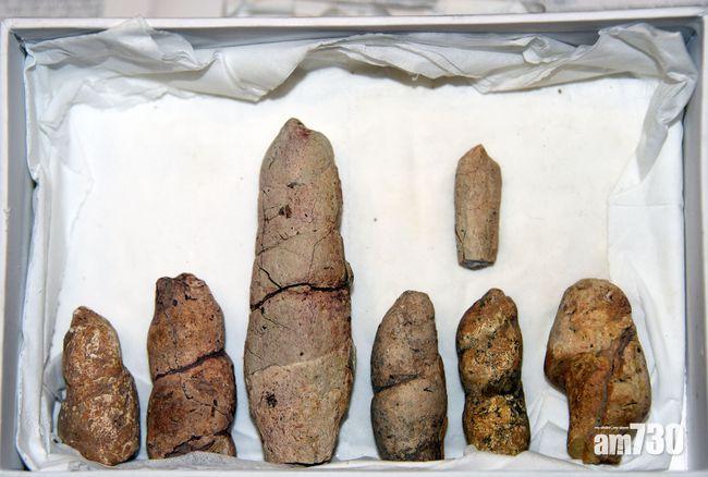 1.3億年前蒙古魚吃甚麼？研究便便化石就知道！