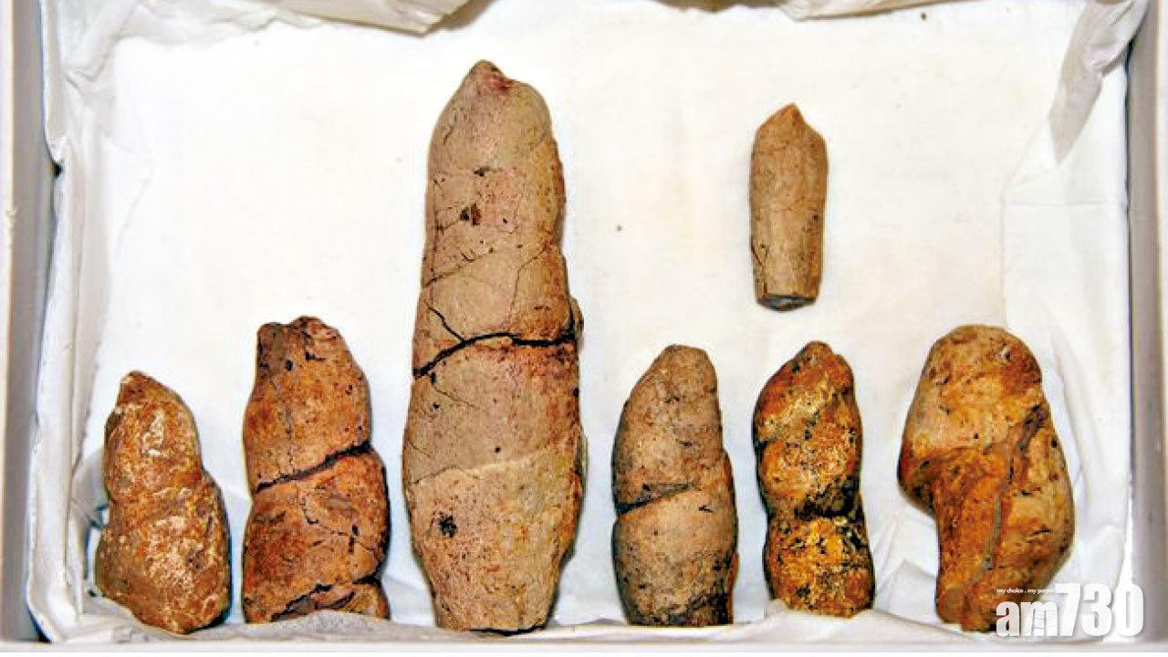 1.3億年前蒙古便便化石顯示魚食魚