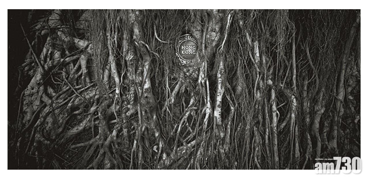 《香港國際攝影節》 慈善珍藏相盒