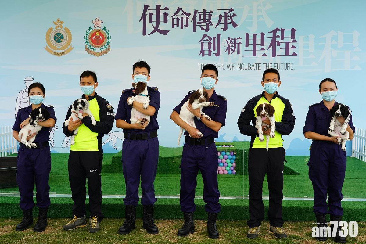 海關消防首次合作成功繁殖工作犬