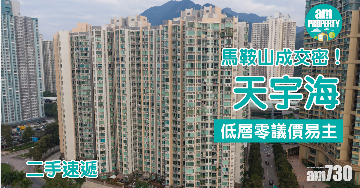 二手速遞｜馬鞍山成交密 天宇海低層零議價易主